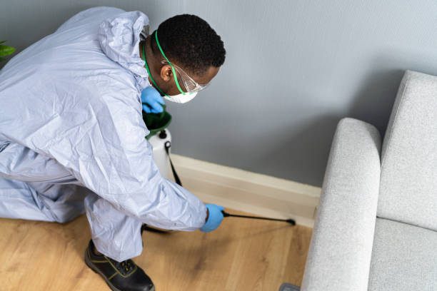 Best Pest Control for Multi-Family Homes  in Mount Pleasant, MI